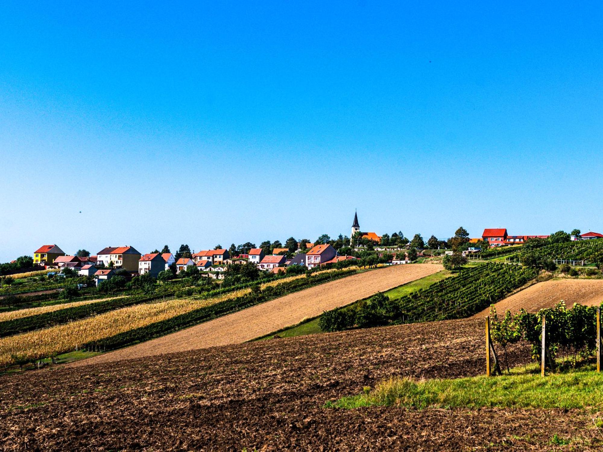 Levandulová